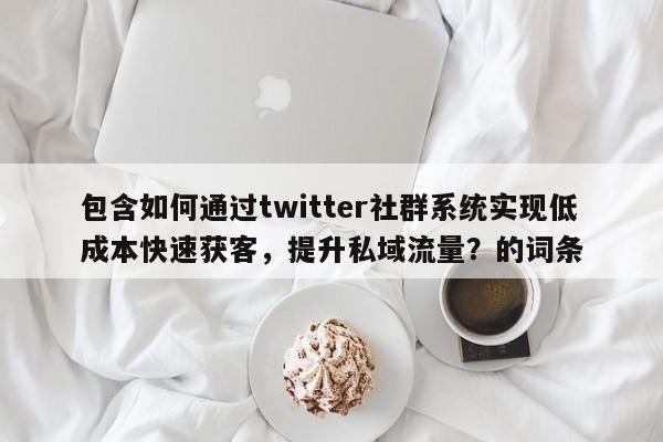 包含如何通过twitter社群系统实现低成本快速获客，提升私域流量？的词条