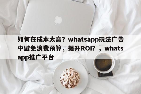 如何在成本太高？whatsapp玩法广告中避免浪费预算，提升ROI？，whatsapp推广平台