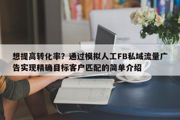 想提高转化率？通过模拟人工FB私域流量广告实现精确目标客户匹配的简单介绍