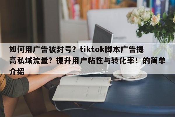 如何用广告被封号？tiktok脚本广告提高私域流量？提升用户粘性与转化率！的简单介绍
