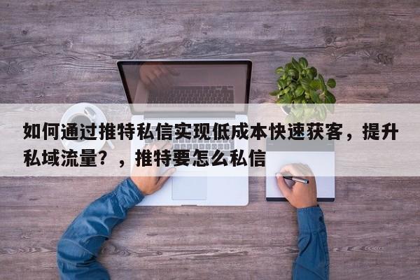 如何通过推特私信实现低成本快速获客，提升私域流量？，推特要怎么私信