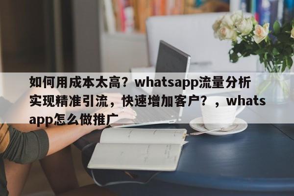 如何用成本太高？whatsapp流量分析实现精准引流，快速增加客户？，whatsapp怎么做推广
