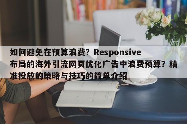 如何避免在预算浪费？Responsive布局的海外引流网页优化广告中浪费预算？精准投放的策略与技巧的简单介绍