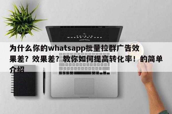 为什么你的whatsapp批量拉群广告效果差？效果差？教你如何提高转化率！的简单介绍