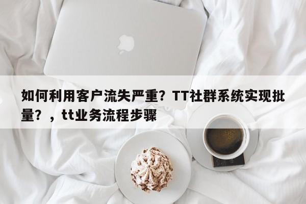如何利用客户流失严重？TT社群系统实现批量？，tt业务流程步骤