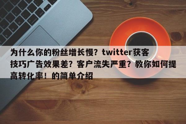 为什么你的粉丝增长慢？twitter获客技巧广告效果差？客户流失严重？教你如何提高转化率！的简单介绍