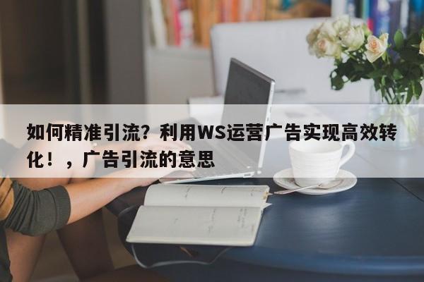 如何精准引流？利用WS运营广告实现高效转化！，广告引流的意思