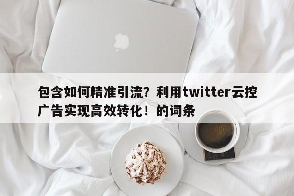 包含如何精准引流？利用twitter云控广告实现高效转化！的词条