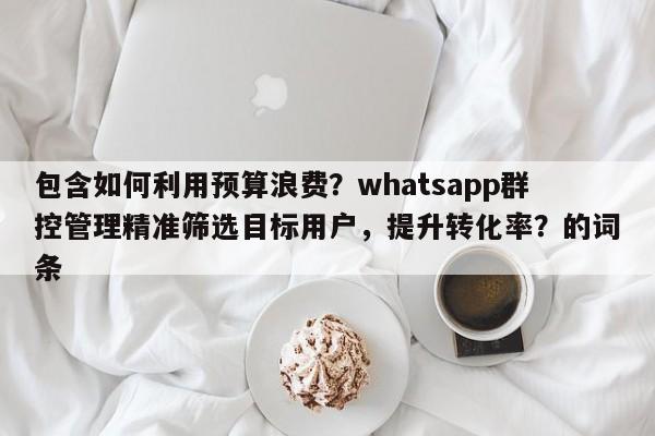 包含如何利用预算浪费？whatsapp群控管理精准筛选目标用户，提升转化率？的词条