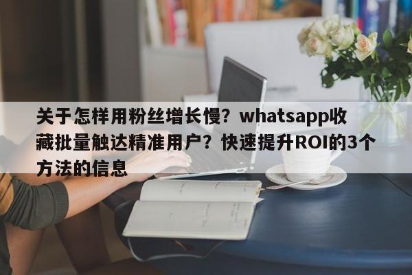 关于怎样用粉丝增长慢？whatsapp收藏批量触达精准用户？快速提升ROI的3个方法的信息