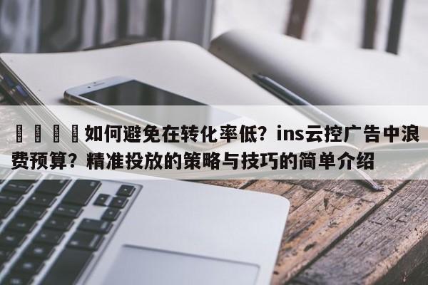 📈如何避免在转化率低？ins云控广告中浪费预算？精准投放的策略与技巧的简单介绍