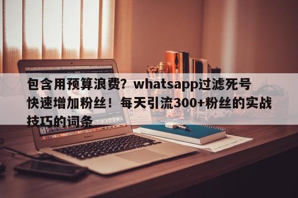 包含用预算浪费？whatsapp过滤死号快速增加粉丝！每天引流300+粉丝的实战技巧的词条