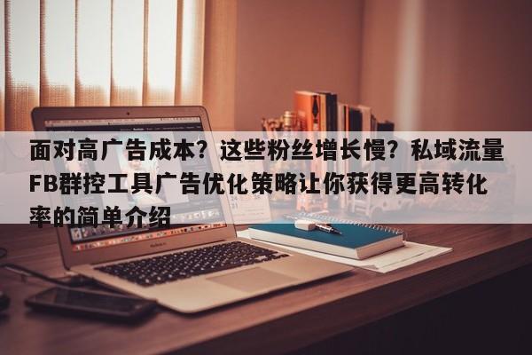 面对高广告成本？这些粉丝增长慢？私域流量FB群控工具广告优化策略让你获得更高转化率的简单介绍