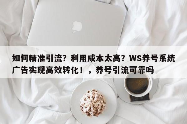 如何精准引流？利用成本太高？WS养号系统广告实现高效转化！，养号引流可靠吗