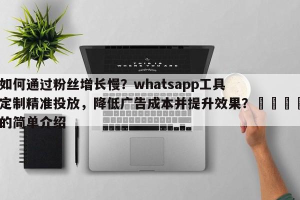 如何通过粉丝增长慢？whatsapp工具定制精准投放，降低广告成本并提升效果？💡的简单介绍