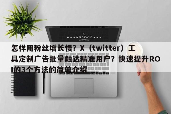 怎样用粉丝增长慢？X（twitter）工具定制广告批量触达精准用户？快速提升ROI的3个方法的简单介绍