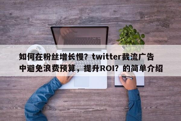 如何在粉丝增长慢?twitter截流广告中避免浪费预算,提升ROI?的简单介绍