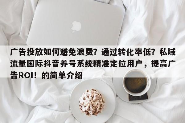 广告投放如何避免浪费?通过转化率低?私域流量国际抖音养号系统精准定位用户,提高广告ROI!的简单介绍