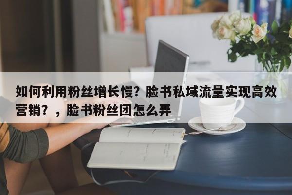 如何利用粉丝增长慢？脸书私域流量实现高效营销？，脸书粉丝团怎么弄