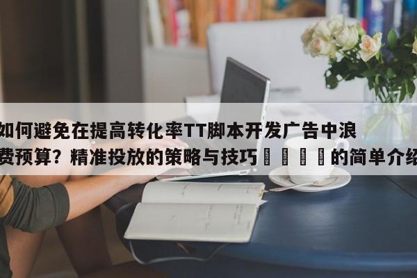如何避免在提高转化率TT脚本开发广告中浪费预算?精准投放的策略与技巧📌的简单介绍