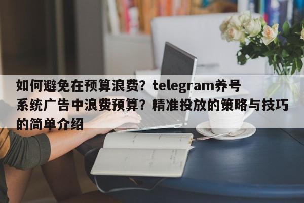 如何避免在预算浪费?telegram养号系统广告中浪费预算?精准投放的策略与技巧的简单介绍