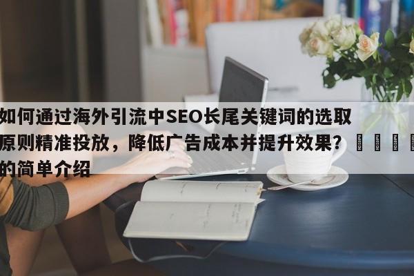 如何通过海外引流中SEO长尾关键词的选取原则精准投放,降低广告成本并提升效果?📣的简单介绍