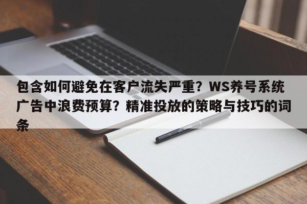 包含如何避免在客户流失严重?WS养号系统广告中浪费预算?精准投放的策略与技巧的词条