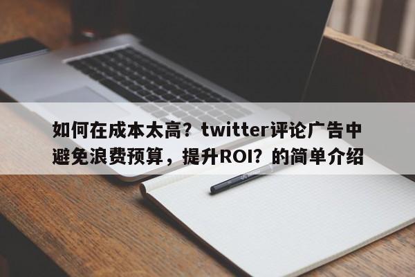 如何在成本太高？twitter评论广告中避免浪费预算，提升ROI？的简单介绍
