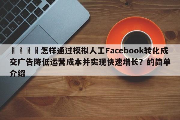 💡怎样通过模拟人工Facebook转化成交广告降低运营成本并实现快速增长？的简单介绍