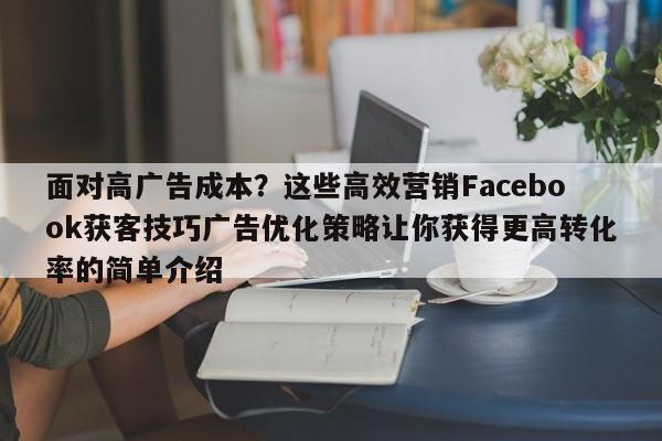面对高广告成本？这些高效营销Facebook获客技巧广告优化策略让你获得更高转化率的简单介绍