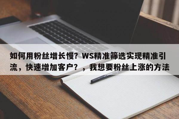 如何用粉丝增长慢?WS精准筛选实现精准引流,快速增加客户?,我想要粉丝上涨的方法