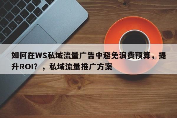 如何在WS私域流量广告中避免浪费预算，提升ROI？，私域流量推广方案