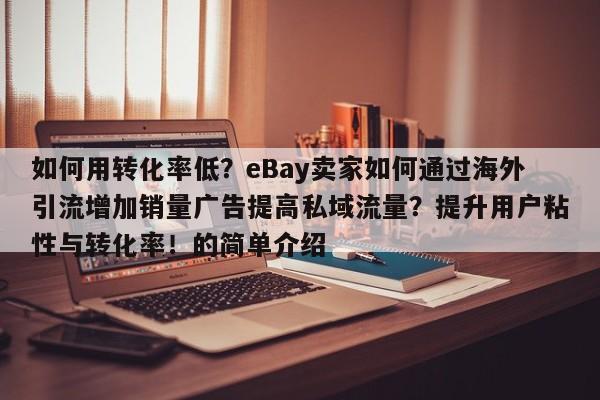 如何用转化率低？eBay卖家如何通过海外引流增加销量广告提高私域流量？提升用户粘性与转化率！的简单介绍