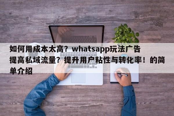 如何用成本太高?whatsapp玩法广告提高私域流量?提升用户粘性与转化率!的简单介绍