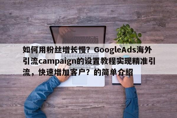 如何用粉丝增长慢?GoogleAds海外引流campaign的设置教程实现精准引流,快速增加客户?的简单介绍
