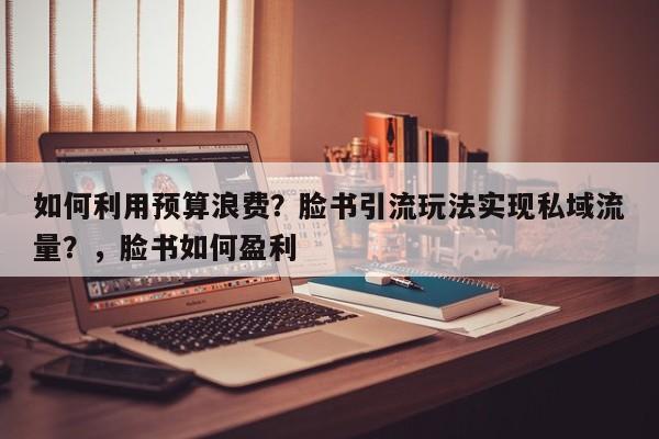 如何利用预算浪费？脸书引流玩法实现私域流量？，脸书如何盈利