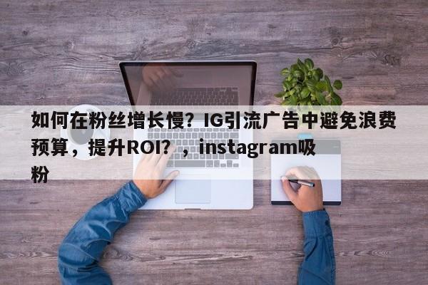 如何在粉丝增长慢？IG引流广告中避免浪费预算，提升ROI？，instagram吸粉