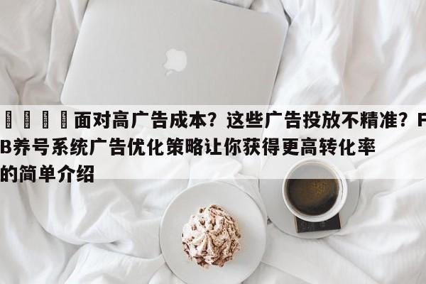 📈面对高广告成本?这些广告投放不精准?FB养号系统广告优化策略让你获得更高转化率的简单介绍
