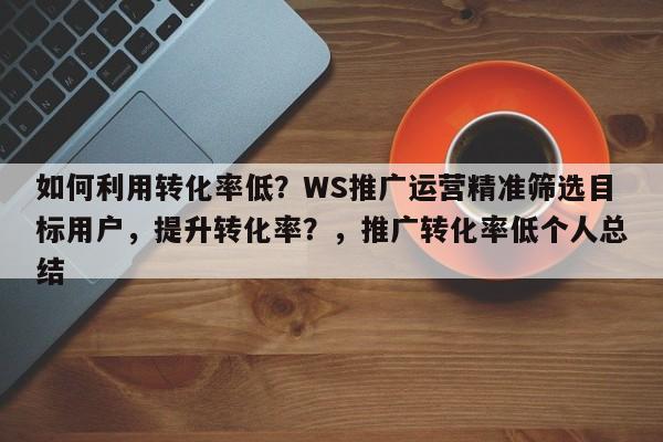 如何利用转化率低?WS推广运营精准筛选目标用户,提升转化率?,推广转化率低个人总结
