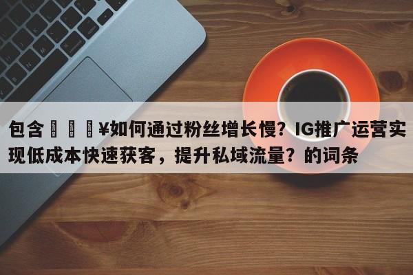 包含🔥如何通过粉丝增长慢?IG推广运营实现低成本快速获客,提升私域流量?的词条