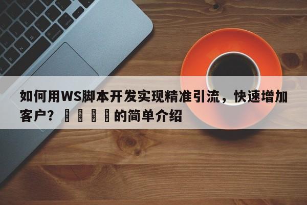 如何用WS脚本开发实现精准引流,快速增加客户?🚀的简单介绍