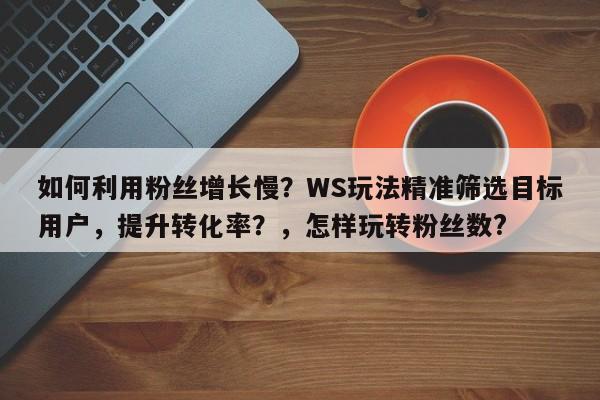 如何利用粉丝增长慢？WS玩法精准筛选目标用户，提升转化率？，怎样玩转粉丝数?