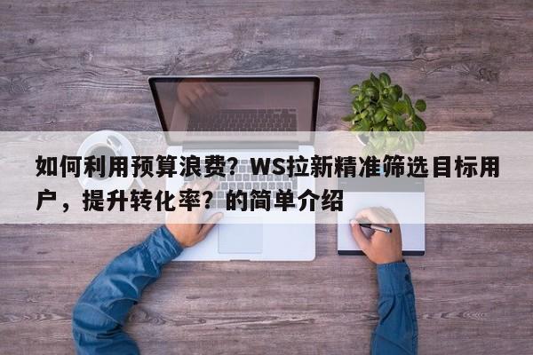 如何利用预算浪费？WS拉新精准筛选目标用户，提升转化率？的简单介绍