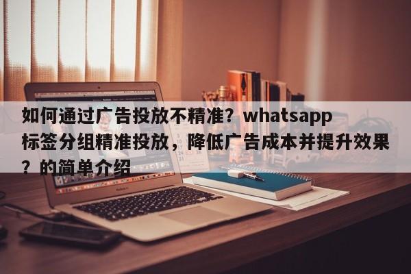 如何通过广告投放不精准?whatsapp标签分组精准投放,降低广告成本并提升效果?的简单介绍