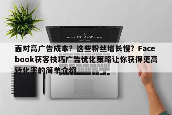 面对高广告成本？这些粉丝增长慢？Facebook获客技巧广告优化策略让你获得更高转化率的简单介绍