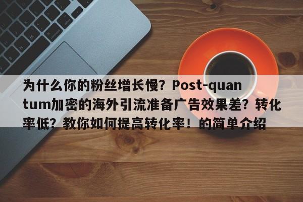 为什么你的粉丝增长慢?Post-quantum加密的海外引流准备广告效果差?转化率低?教你如何提高转化率!的简单介绍