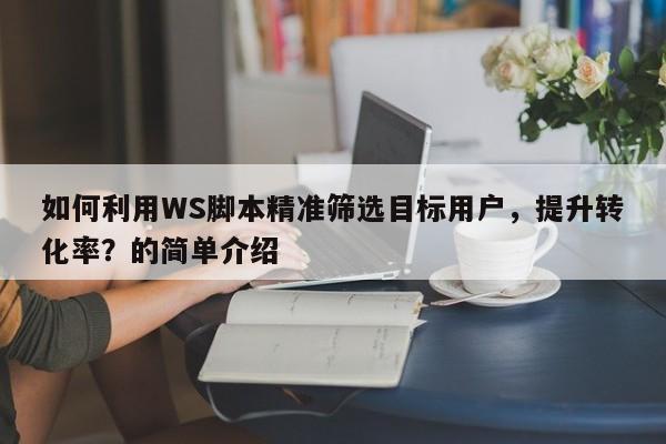 如何利用WS脚本精准筛选目标用户,提升转化率?的简单介绍