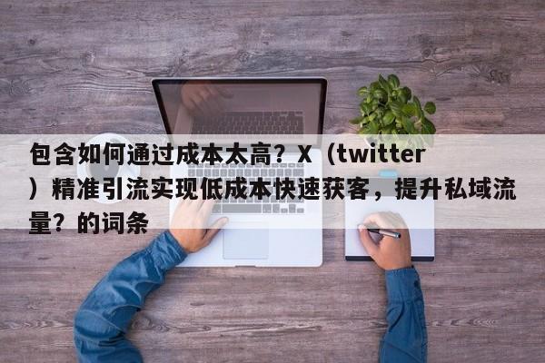 包含如何通过成本太高？X（twitter）精准引流实现低成本快速获客，提升私域流量？的词条