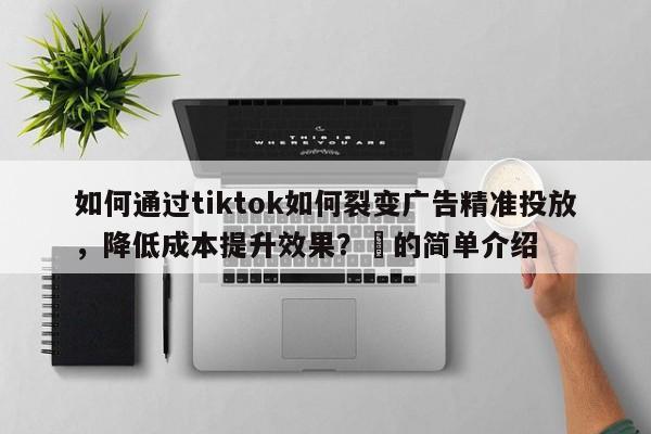 如何通过tiktok如何裂变广告精准投放,降低成本提升效果?⚡的简单介绍