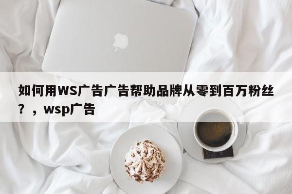 如何用WS广告广告帮助品牌从零到百万粉丝?,wsp广告